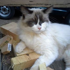 Meet your Posher, Vickie